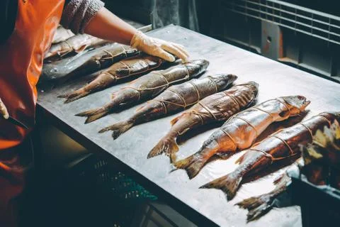 Fish factory process Stock Photos