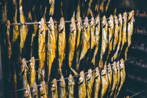 Fish factory process Stock Photos