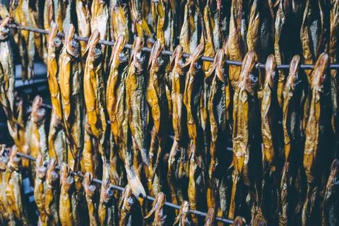 Fish factory process Stock Photos