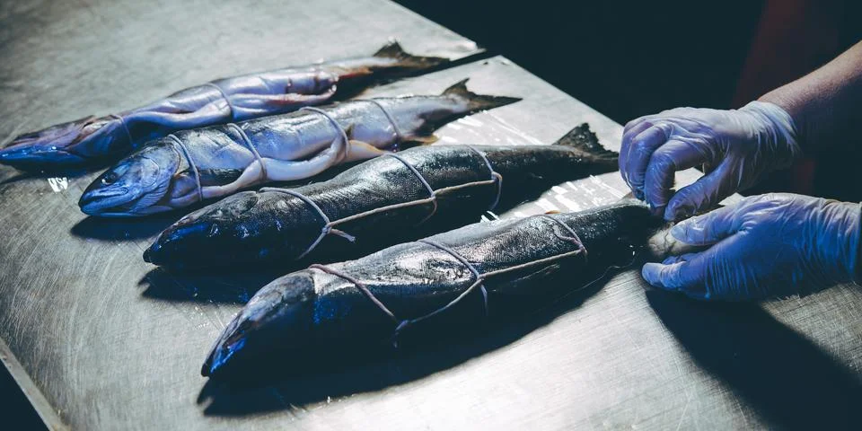 Fish factory process Stock Photos