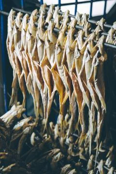 Fish factory process Stock Photos