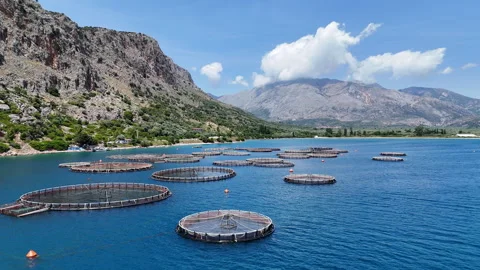 Fish farm aerial. Stock Footage 310798036