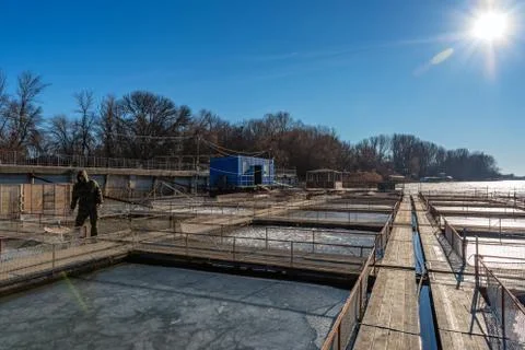 Fish farm for brooding sturgeons in Astrakhan, Russia Stock Photos