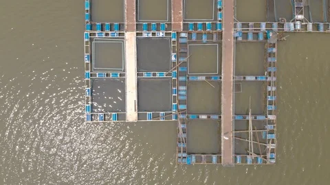 Fish farm cage system Stock Footage 88649357