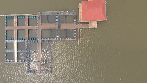 Fish farm cage system Video stock 88649661