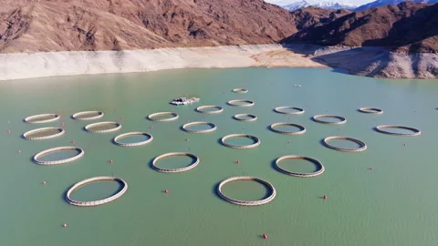 Fish farm cages on floating platforms in mountainous Kyrgyzstan Stock Footage 329140319