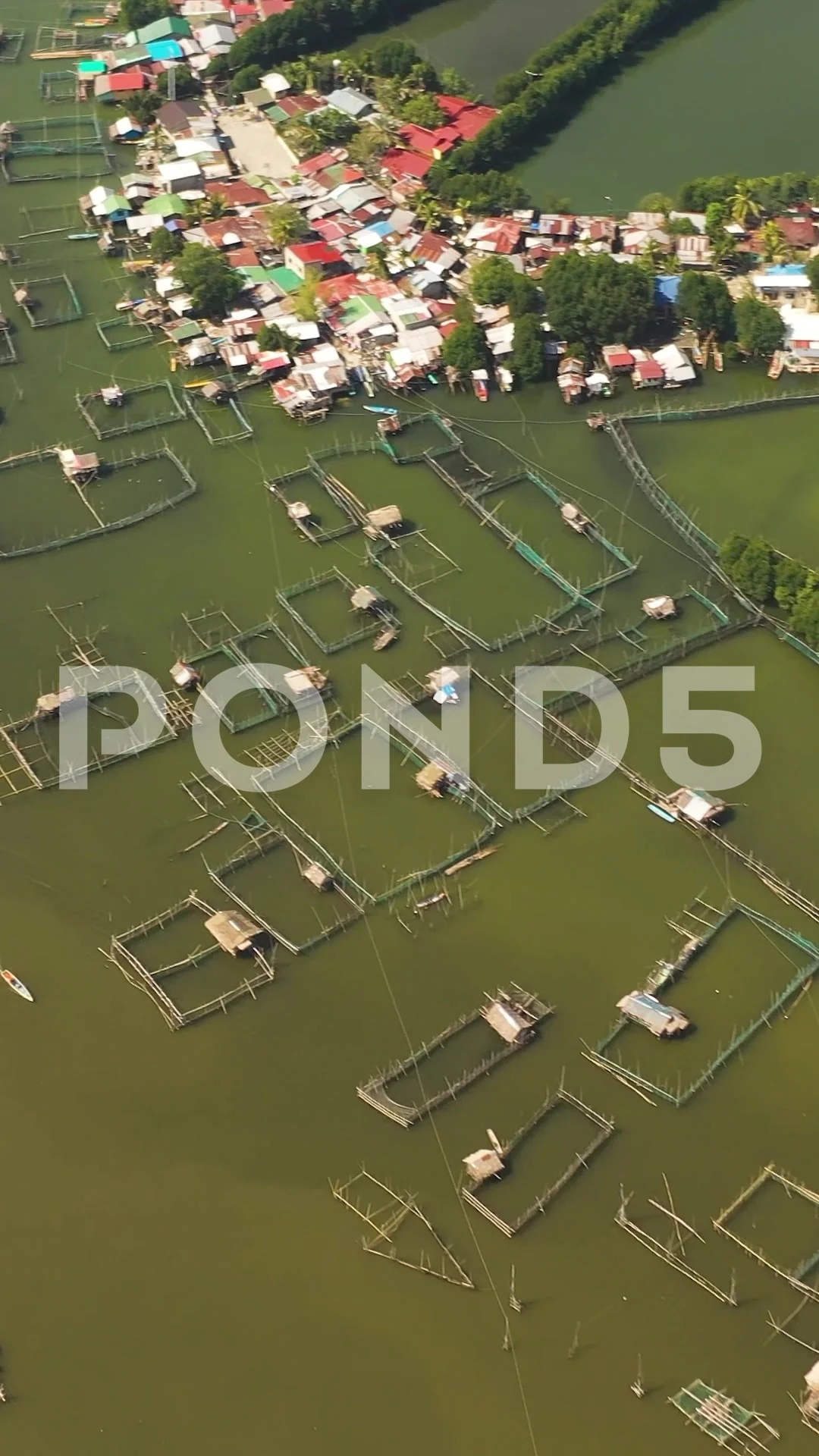 Fish farm with cages. Philippines. Verti, Stock Video