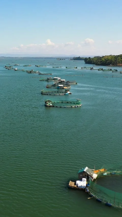 Fish farm with cages. Philippines. Vertical video. Stock Footage 243538862