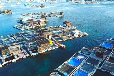 Fish farm in coastal waters. Rectangular cages Stock Photos