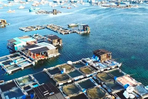 Fish farm in coastal waters. Rectangular cages Stock Photos