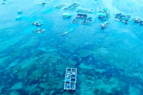 Fish farm in coastal waters. Rectangular cages Foto stock