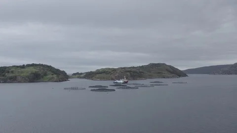 Fish Farm Drone Stock Footage 127157046