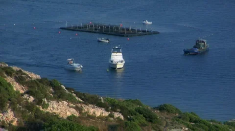 Fish farm Stock Footage 473476