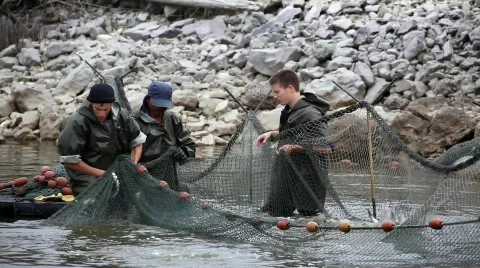 The fish farm Stockbeeldmateriaal 568680