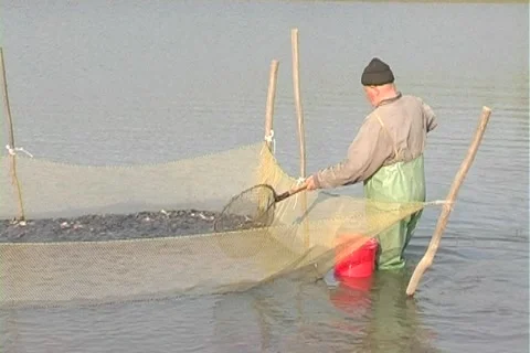 Fish farm Stock Footage 5298874