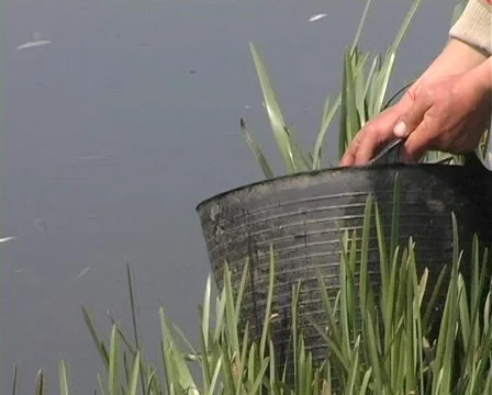 Fish farm Stock Footage 5298950