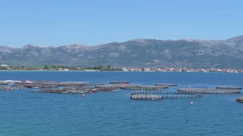 Fish farm. Stock Footage 140418010