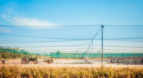 Fish farm Foto stock