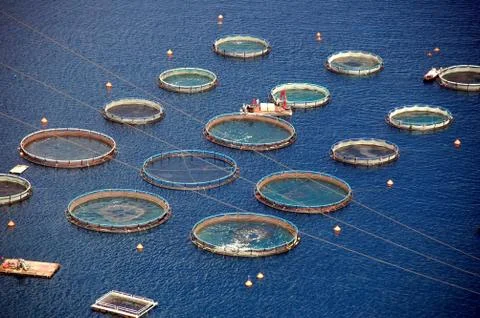 Fish farm Stock Photos