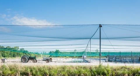 Fish farm Stock Photos