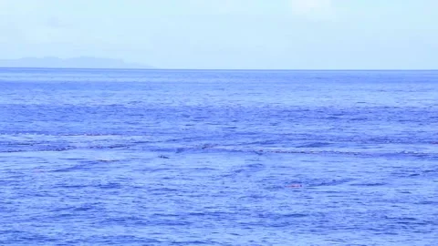Fish farm in the sea Vídeo Stock 167565087