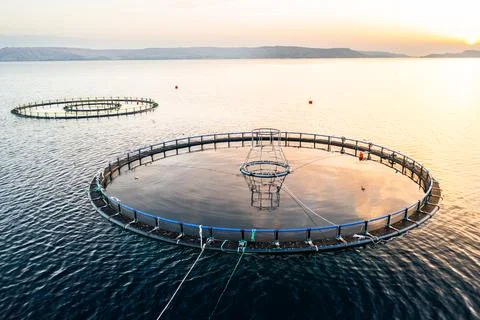 Fish farm structures floating on still water at sunset in a serene lake Stock Photos