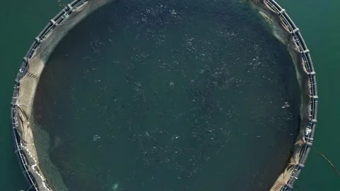 Fish farm view from above. Stock Footage 133387532