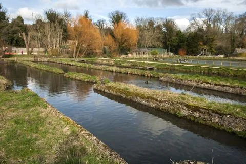 Fish farm view Stock Photos