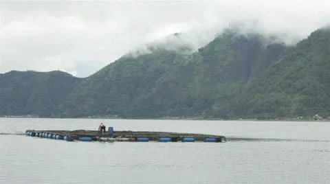 Fish farm worker Stock Footage 10914057
