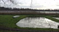 Fish-farming fish-ponds in cold season nature reserve HD Footage
