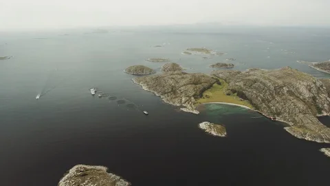 Fish farming in the ocean Vídeo Stock 95661454