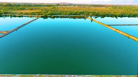 Fish Farming Pond - Drone View - Backwards 库存影片 251702166