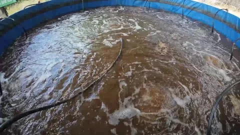 Fish farming pond using biofloc system Stock Footage 318015985