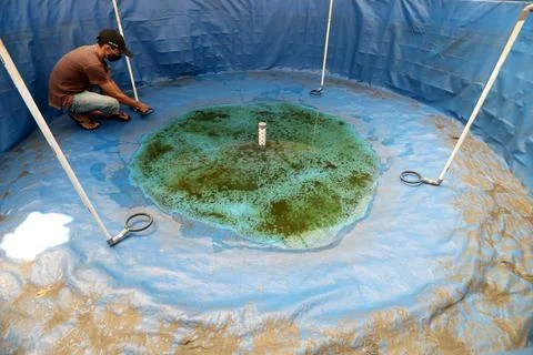 Fish farming in West Java, Indonesia, Depok - 05 Mar 2021 Stock-Fotos