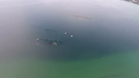 Fish-farms Stock Footage 135347186