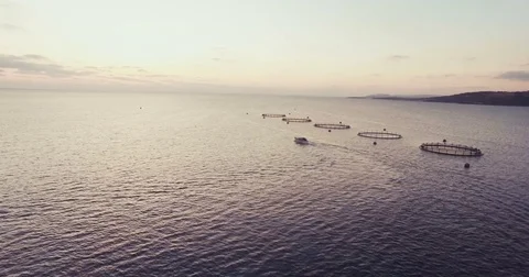 Fish Farms in Malta Stock Footage 75250669