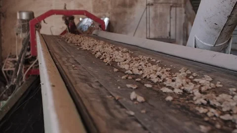 Fish feed pellets moving on a conveyor in an aquaculture feed factory. Stock Footage 322524056