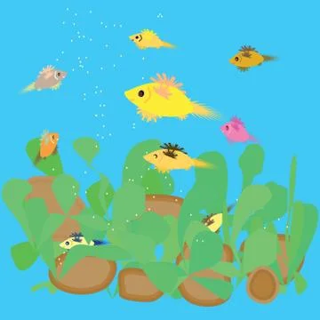 Fish feeding in the aquarium Stock Illustration