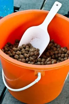 Fish feeding Stock Photos
