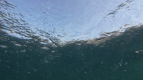 Fish feeding underwater. Stock Footage 279087120