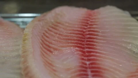 Fish fillet closeup Video stock 151351807
