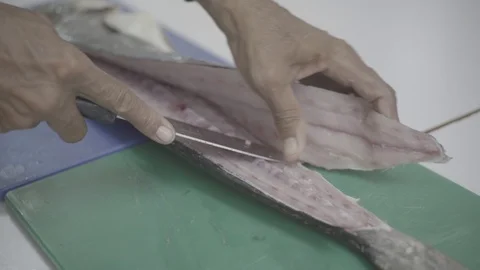Fish Fillet Stock Footage 108002797
