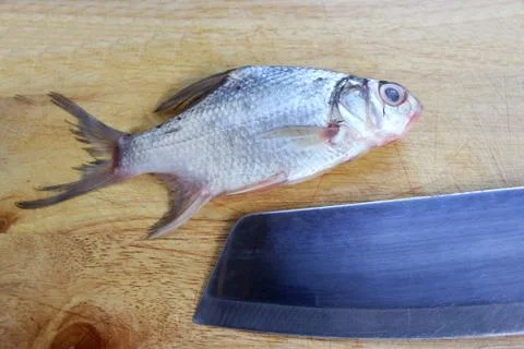 Fish fillet Stock Photos