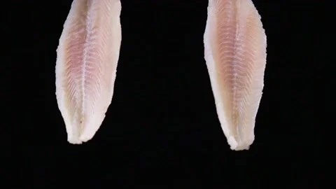 Fish Fillet Rolling Down Slomotion Stock Footage 232366774