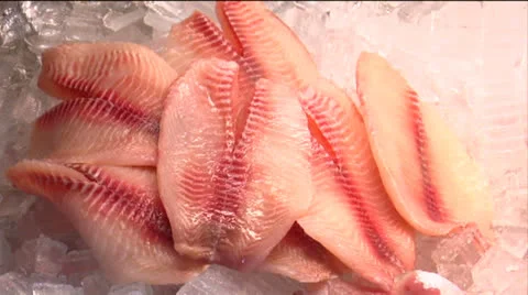 Fish fillets, static shot Stock Footage 24632485
