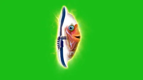 Fish Finland footage Stock Footage 259843376