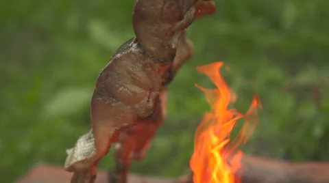 Fish on the fire side view Stock Footage 55234872