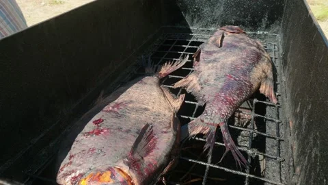 Fish is fired on barbeque grill. Dinner is almost ready. Stock Footage 140670639