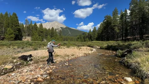 Fish On, Fish Off, Fish On Vídeos de archivo 330601681