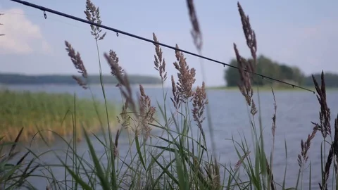 To fish for a fishing rod float, hobby, close-up. 4K Stock Footage 100234002